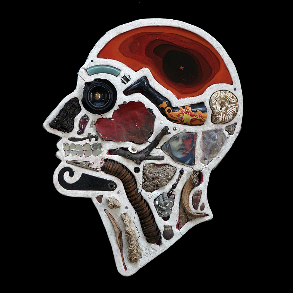 Assemblage Sculptures Of Anatomical Human Head Cross Sections By Edwige Massart And Xavier Wynn (8)