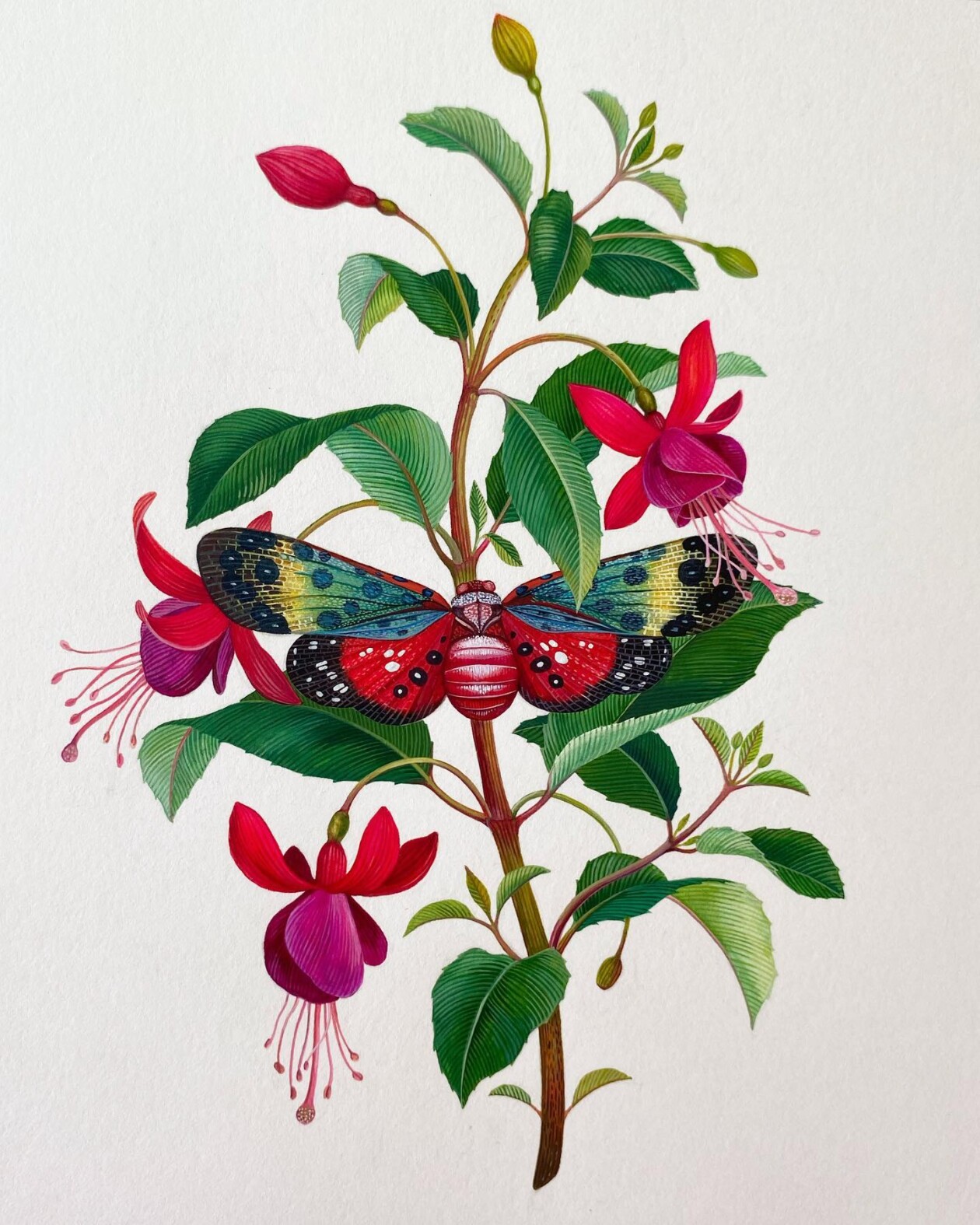 Fascinating Naturalistic Illustrations By Georgina Taylor (8)
