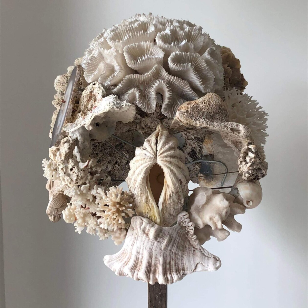 Sculptures Of Anatomical Details Made From Found Coral And Shells By Gregory Halili (10)