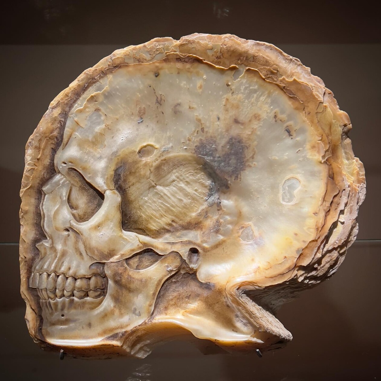 Sculptures Of Anatomical Details Made From Found Coral And Shells By Gregory Halili 19