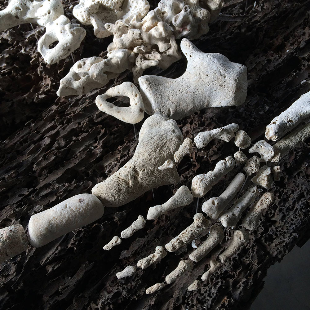 Sculptures Of Anatomical Details Made From Found Coral And Shells By Gregory Halili (3)