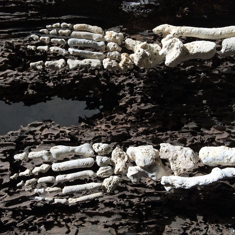Sculptures Of Anatomical Details Made From Found Coral And Shells By Gregory Halili (4)