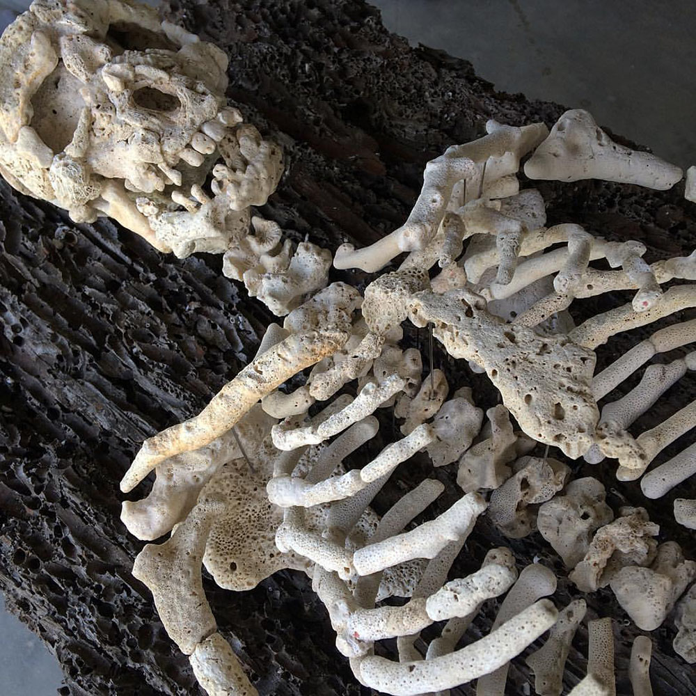 Sculptures Of Anatomical Details Made From Found Coral And Shells By Gregory Halili (5)