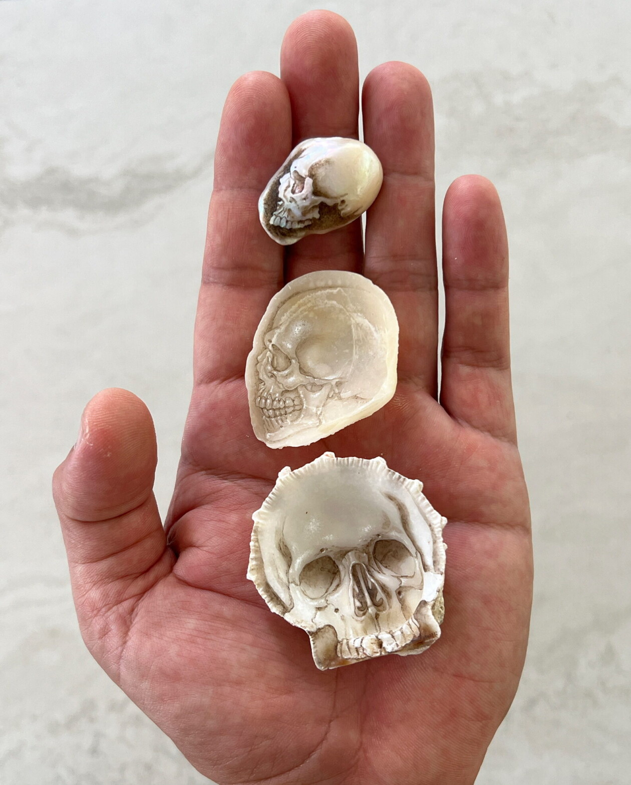 Sculptures Of Anatomical Details Made From Found Coral And Shells By Gregory Halili (8)
