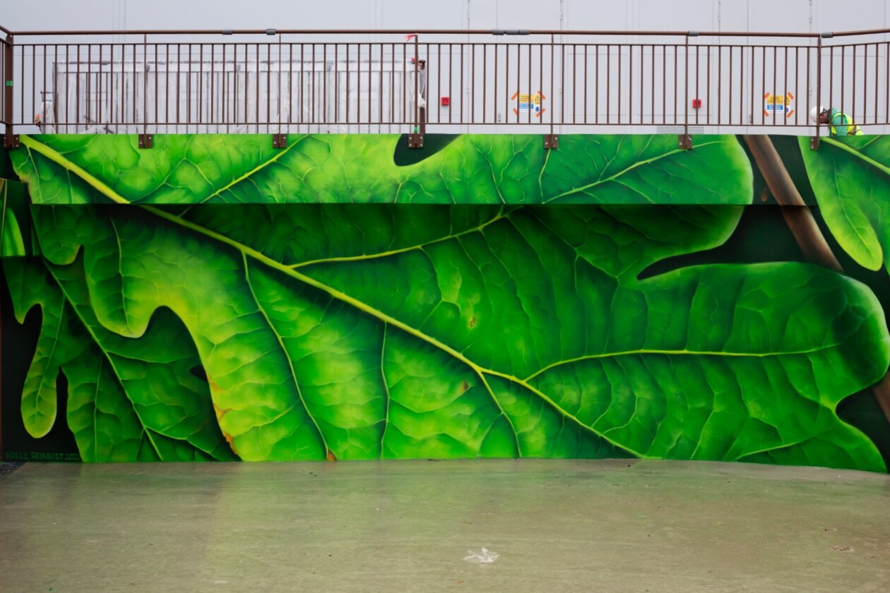 Giant Leafy Murals By Adele Renault (5)