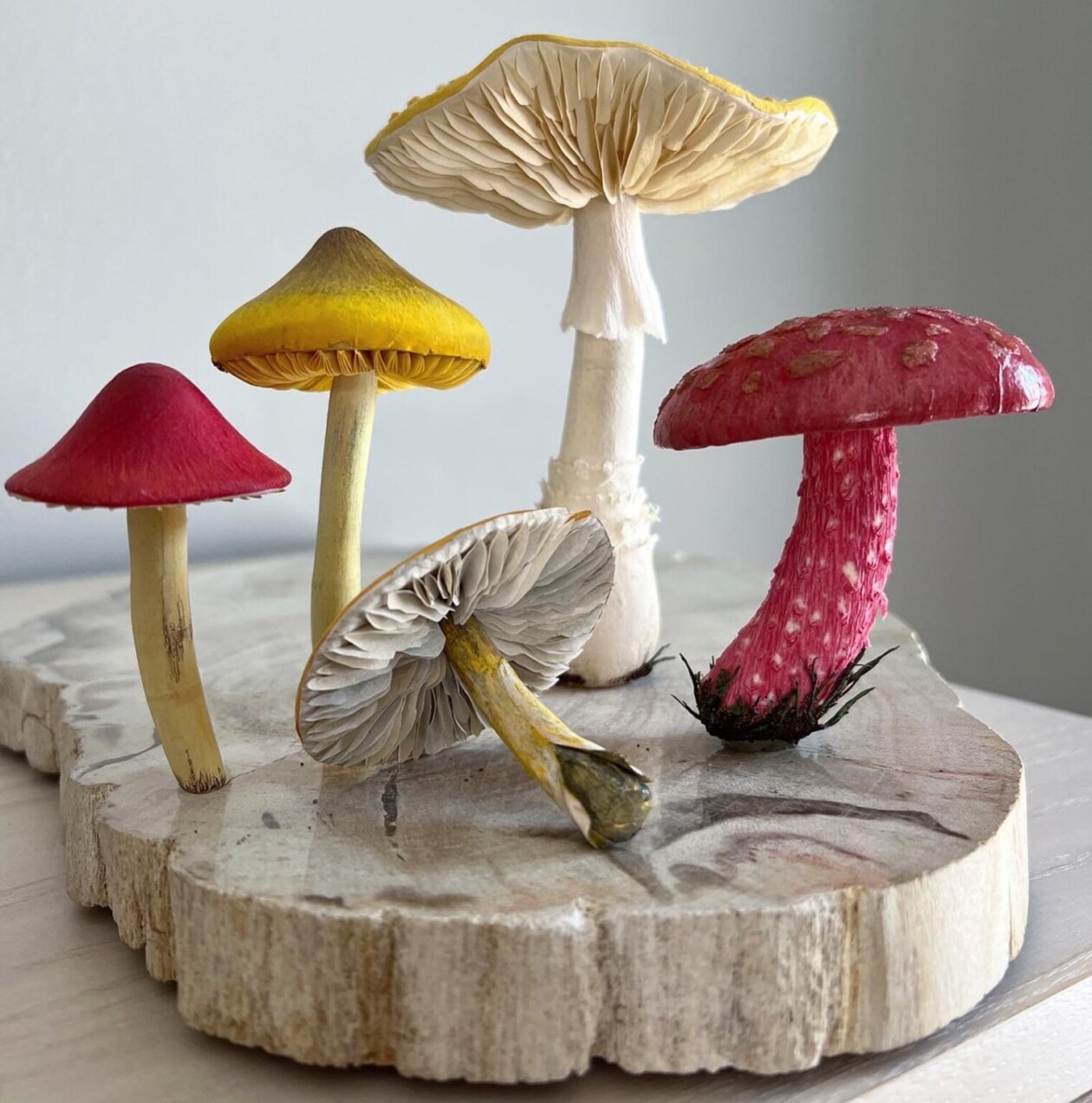 Splendid Lifelike Paper Sculptures Of Animals, Plants, Vegetables, And Mushrooms By ann Wood (1)