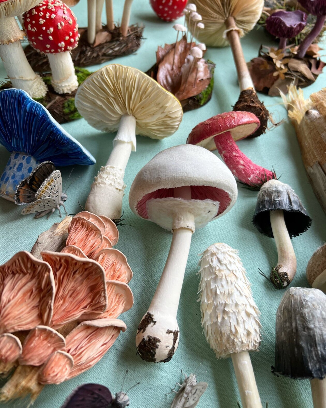 Splendid Lifelike Paper Sculptures Of Animals, Plants, Vegetables, And Mushrooms By ann Wood (11)
