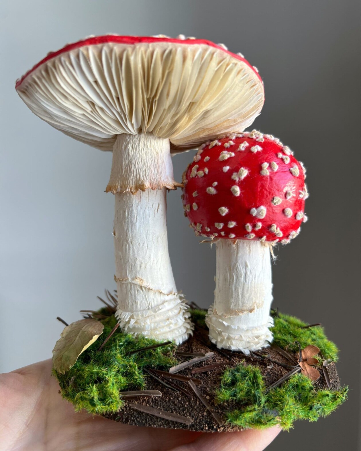 Splendid Lifelike Paper Sculptures Of Animals, Plants, Vegetables, And Mushrooms By ann Wood (13)