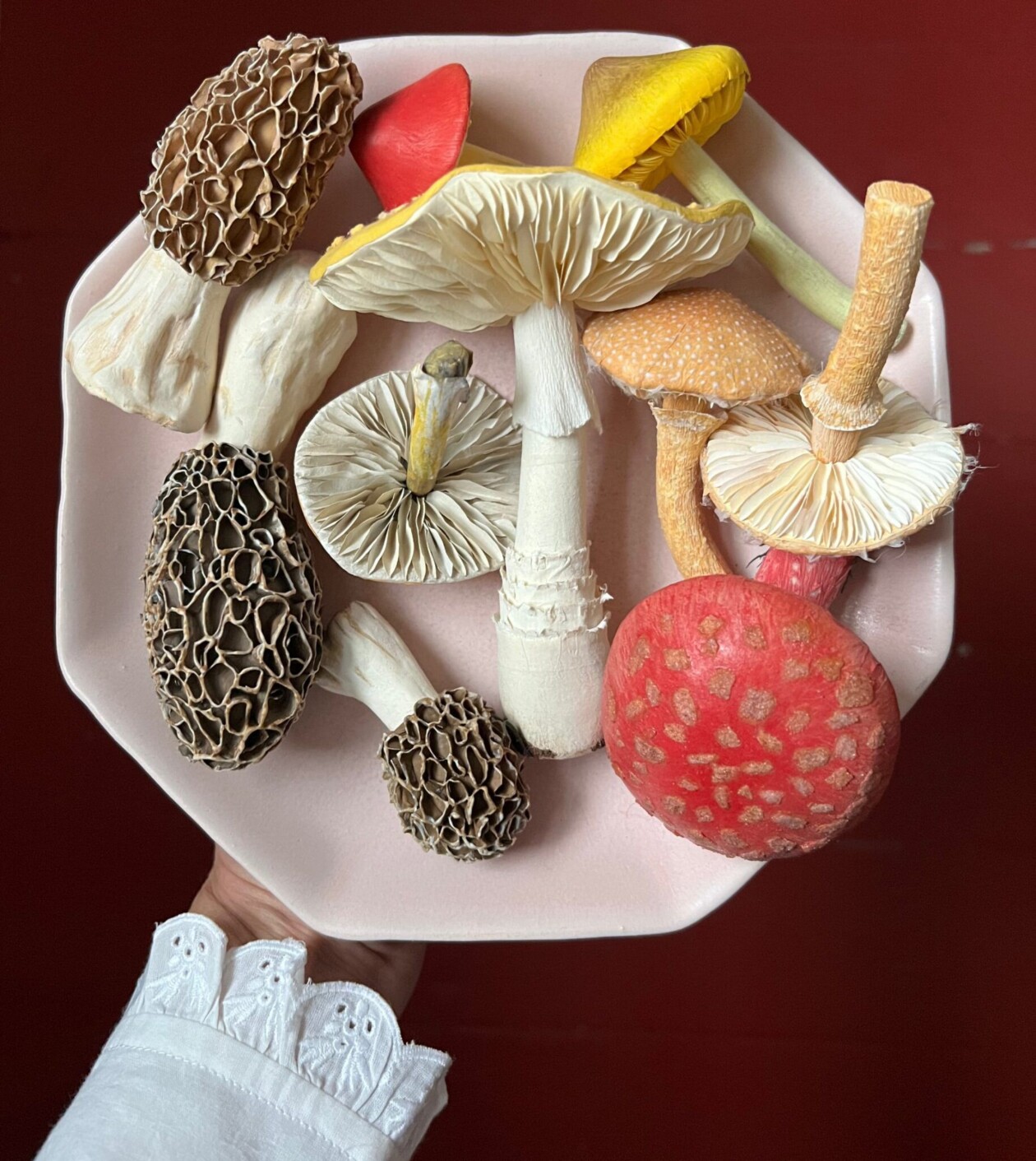 Splendid Lifelike Paper Sculptures Of Animals, Plants, Vegetables, And Mushrooms By ann Wood (6)