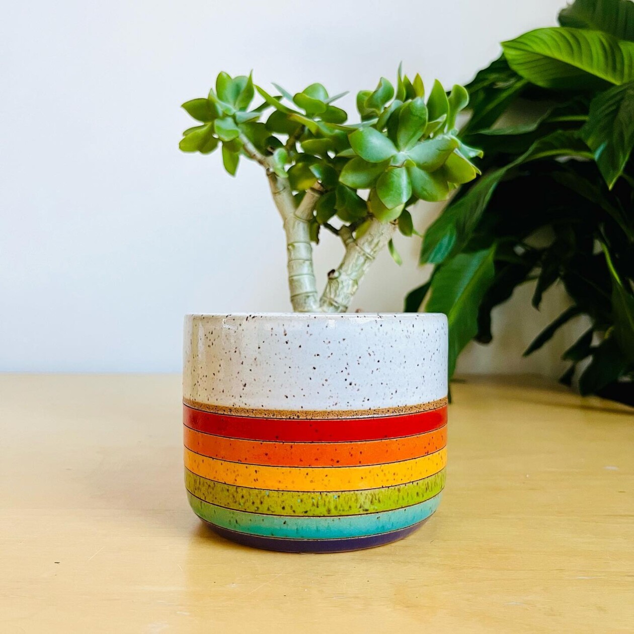 Colorful Ceramics By Liz Cohen (20)