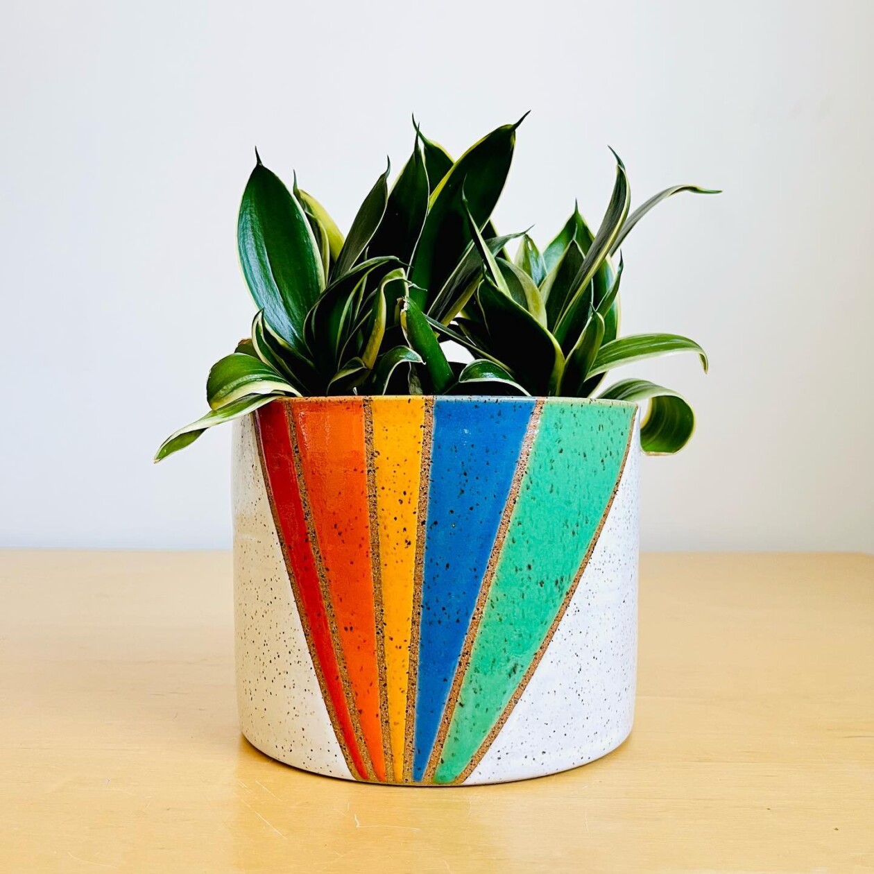 Colorful Ceramics By Liz Cohen (22)