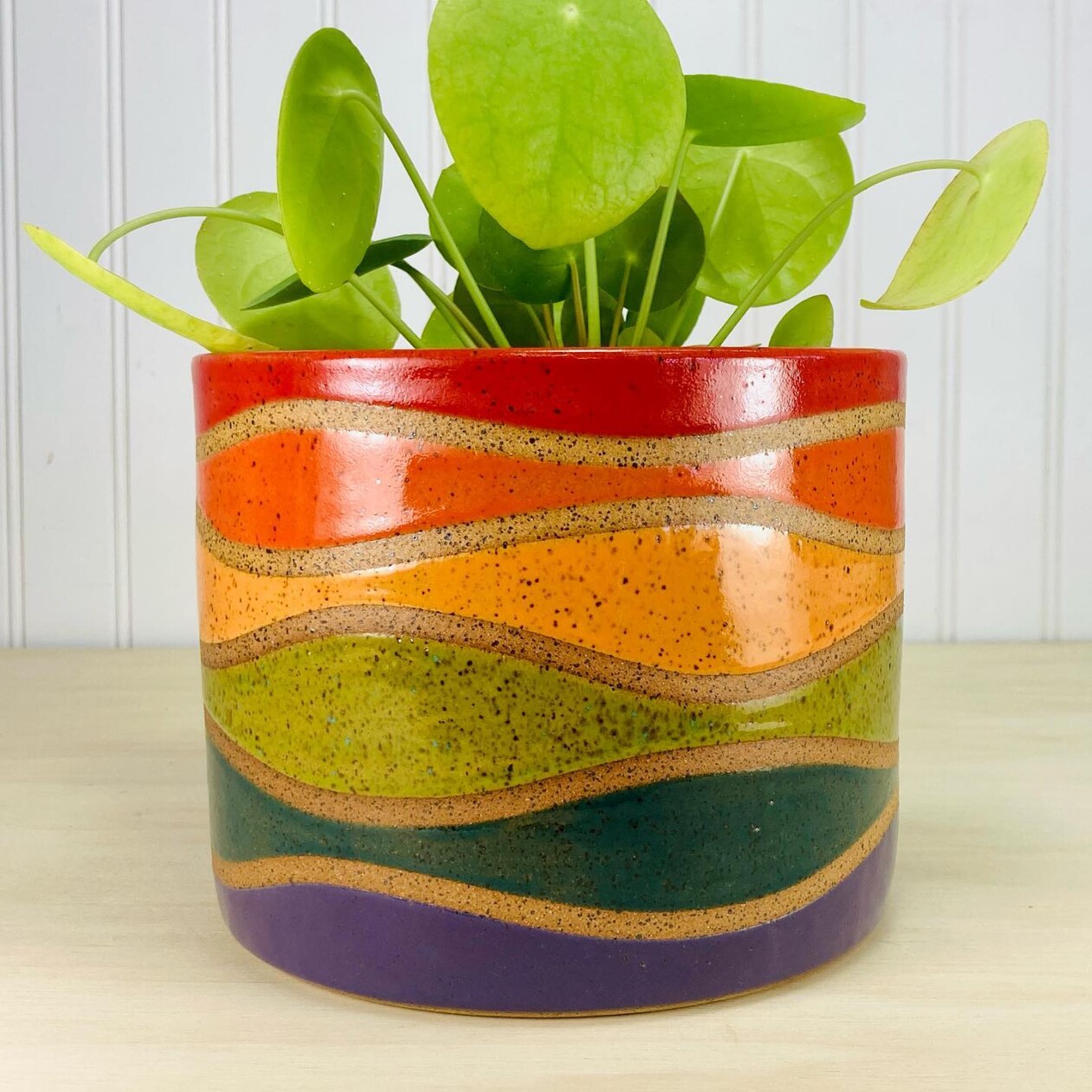 Colorful Ceramics By Liz Cohen (8)