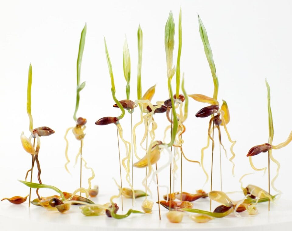 Delicate And Detailed Glass Sprouts By Nataliya Vladychko (1)