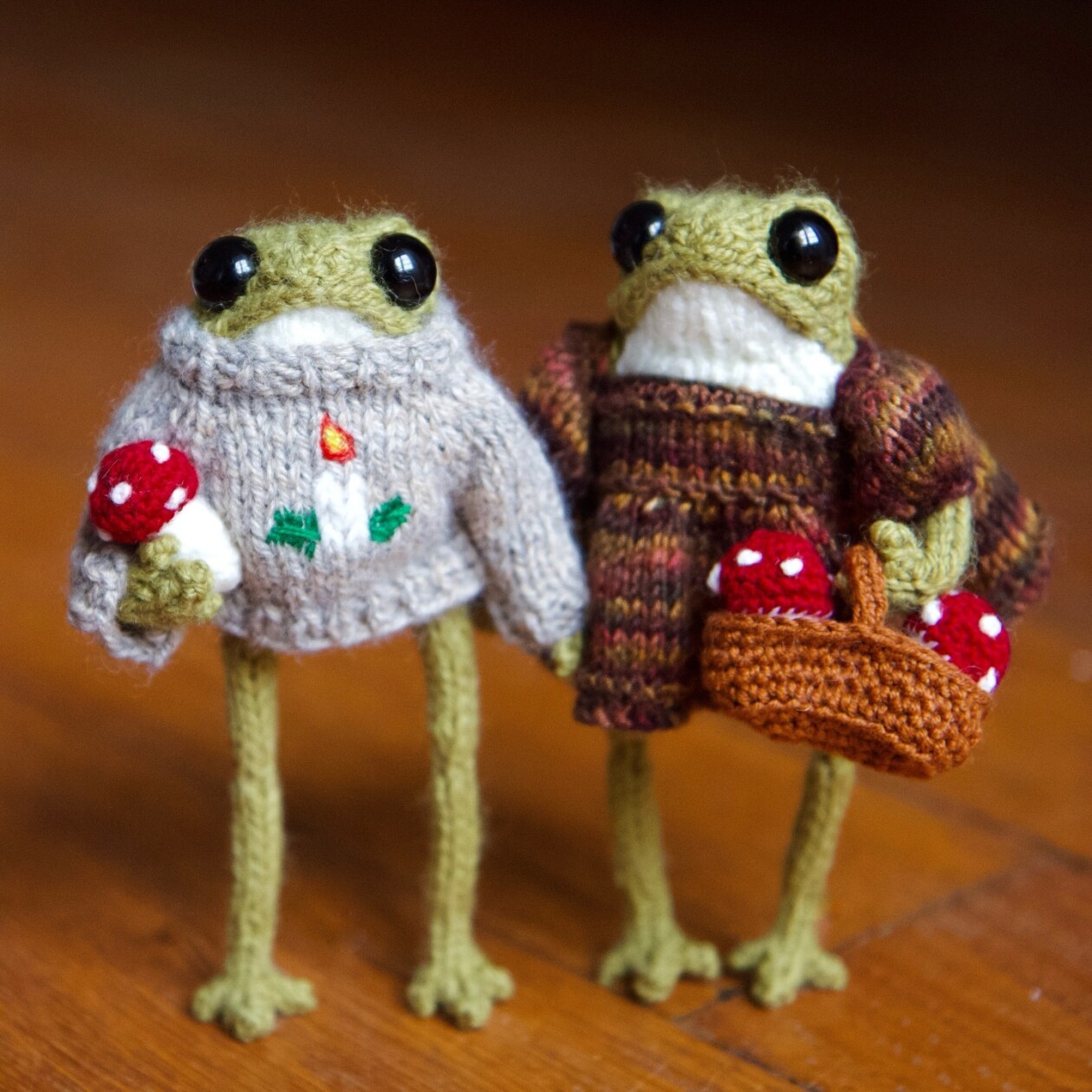 Enchanting Anthropomorphized Frog Crochet Patterns By Elliot (7)