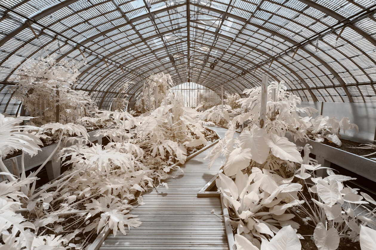 Invisible Paris, A Fantastic Infrared Photography Series By Pierre Louis Ferrer (5)