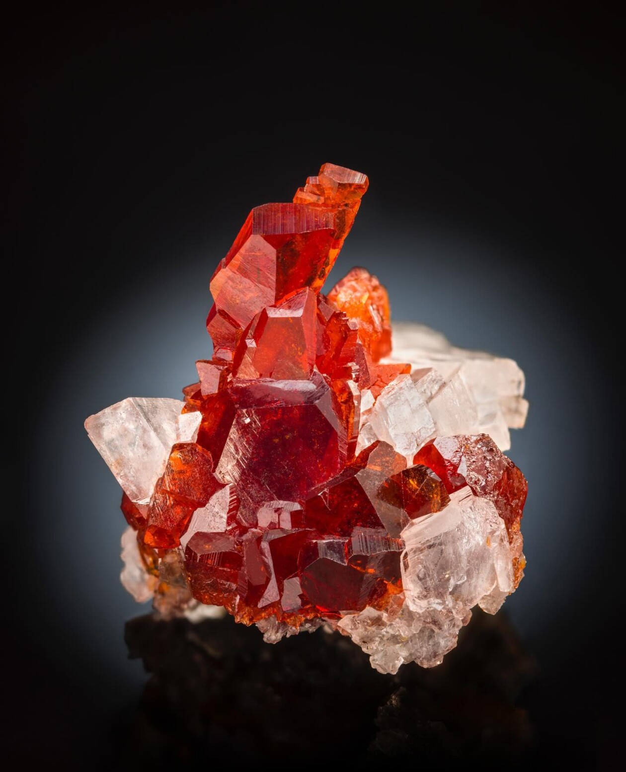 The Magnificent Mineral Photography Of Laszlo Kupi (12)