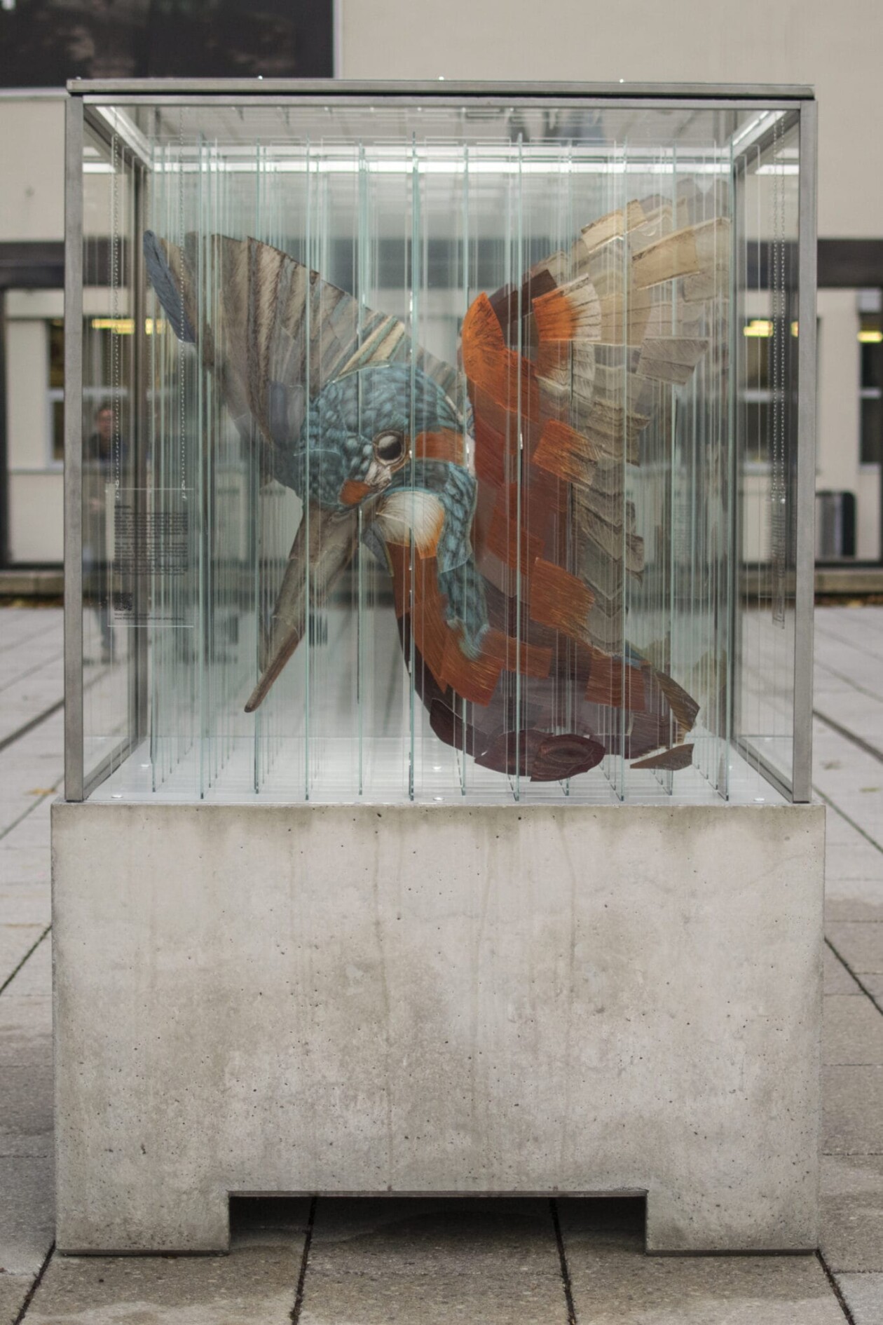 Anamorphic Glass Sculpture By Thomas Medicus (2)
