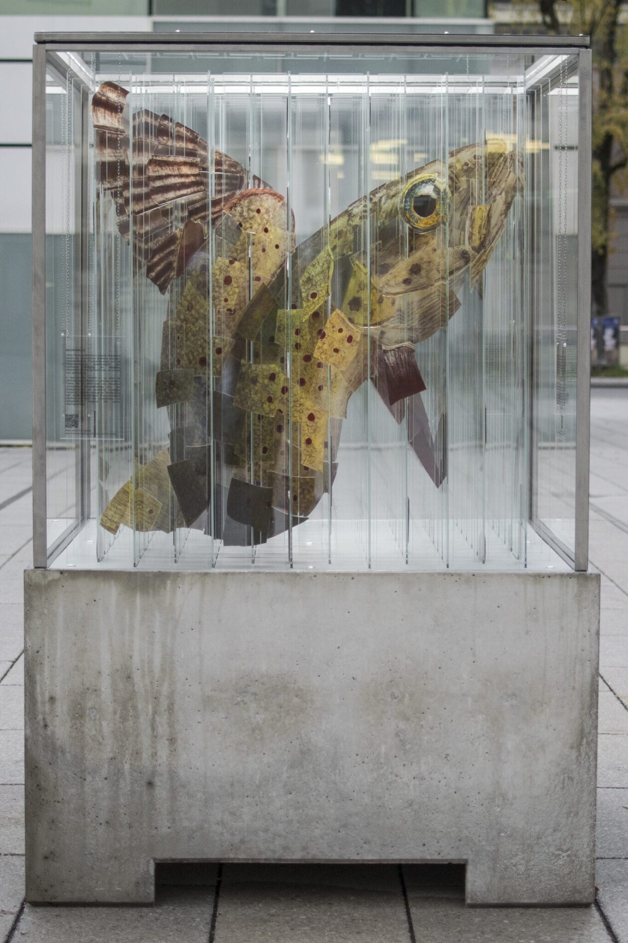 Anamorphic Glass Sculpture By Thomas Medicus (5)