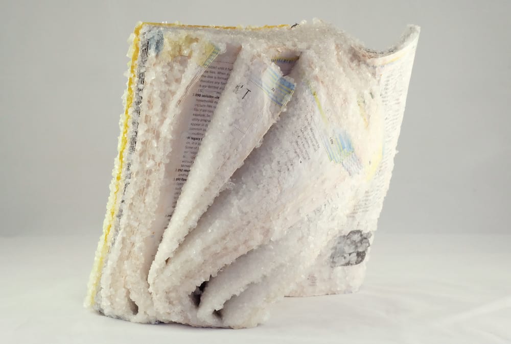 Crystallized Books, A Sculptures Series By Alexis Arnold (1)