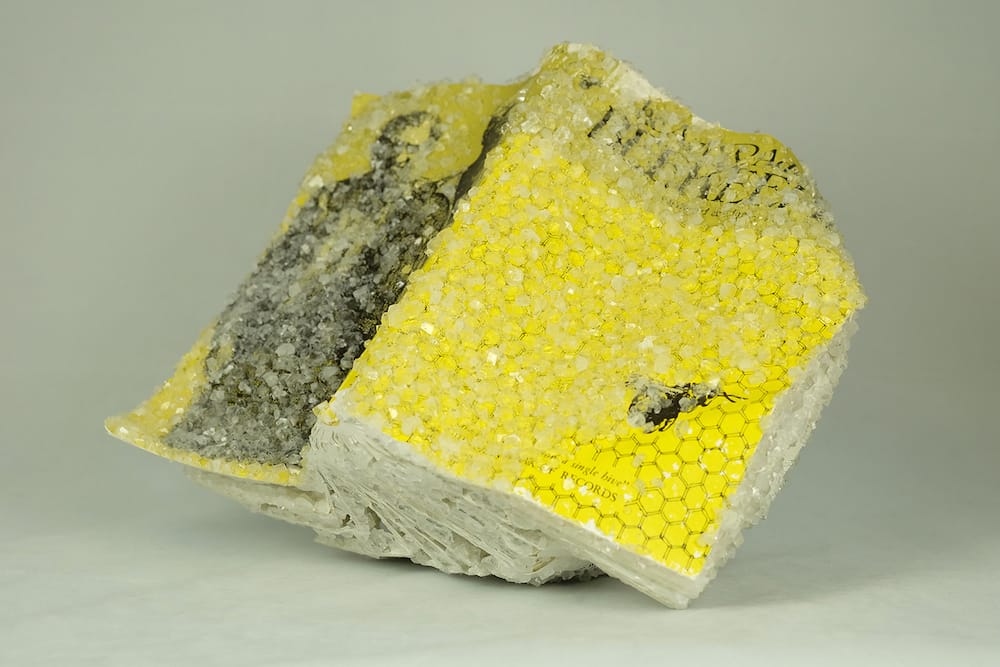 Crystallized Books, A Sculptures Series By Alexis Arnold (10)