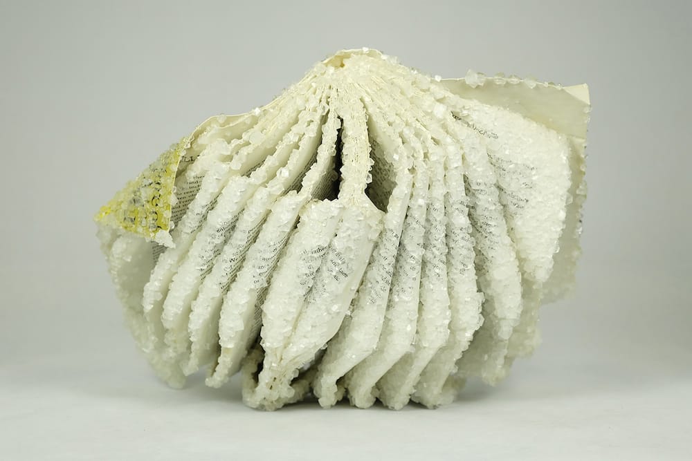 Crystallized Books, A Sculptures Series By Alexis Arnold (11)