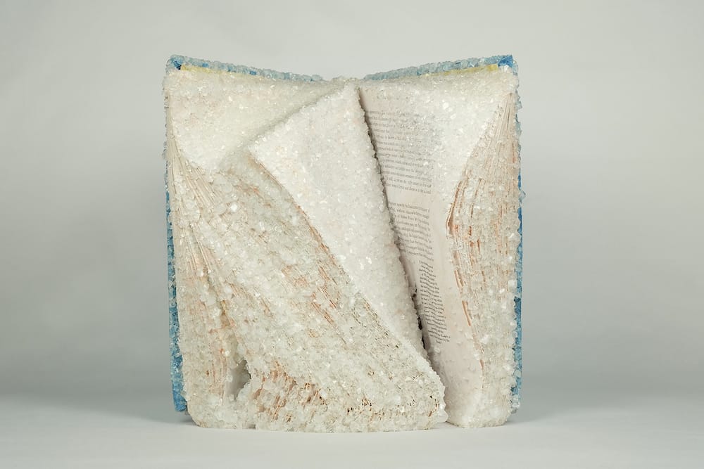 Crystallized Books, A Sculptures Series By Alexis Arnold (12)