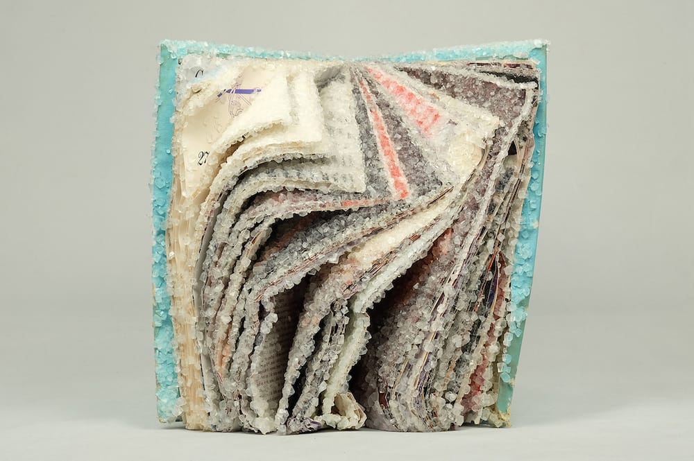 Crystallized Books, A Sculptures Series By Alexis Arnold (13)