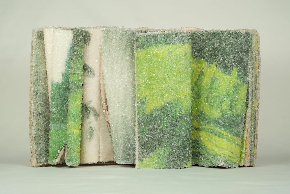 Crystallized Books, A Sculptures Series By Alexis Arnold (16)