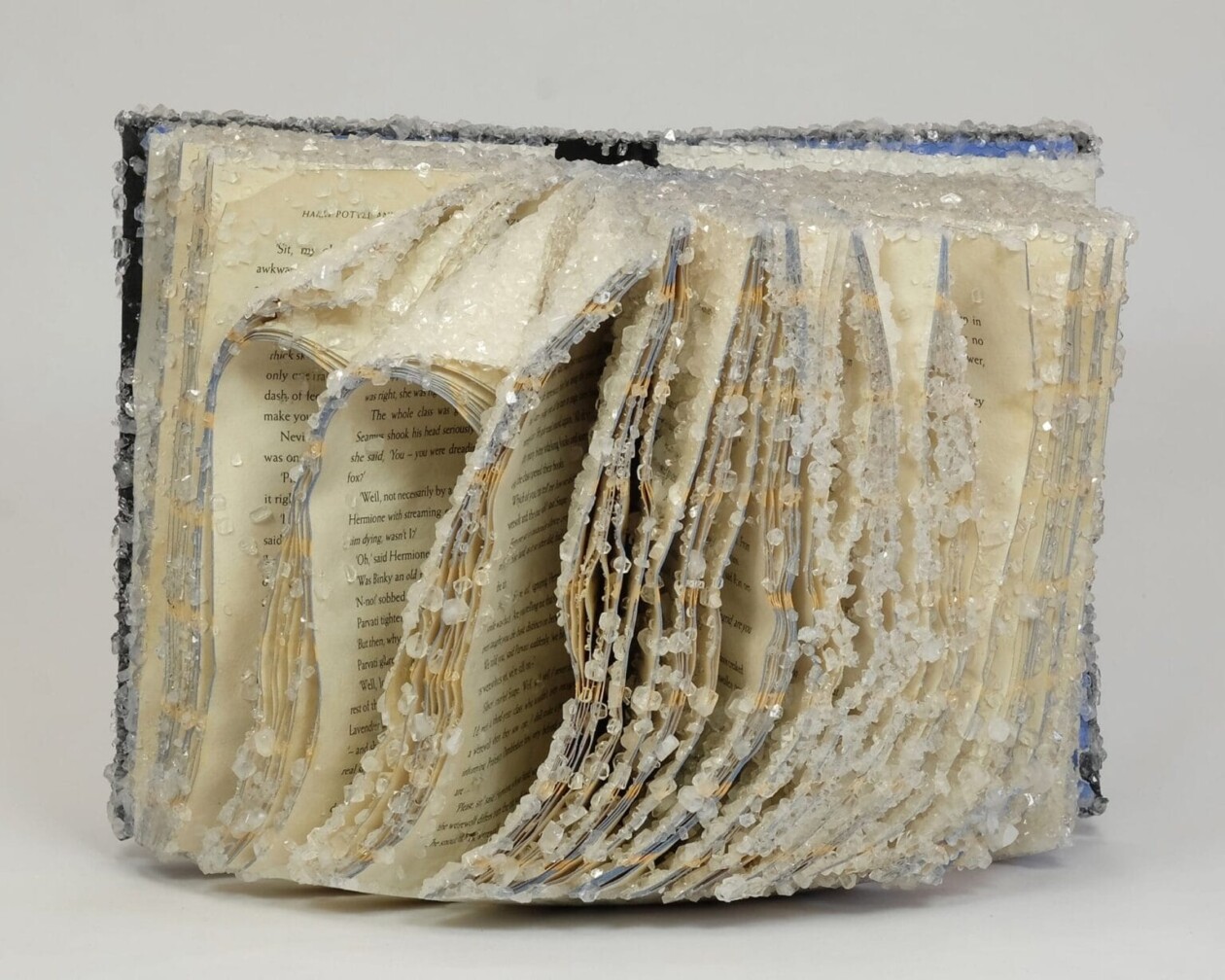 Crystallized Books, A Sculptures Series By Alexis Arnold (18)