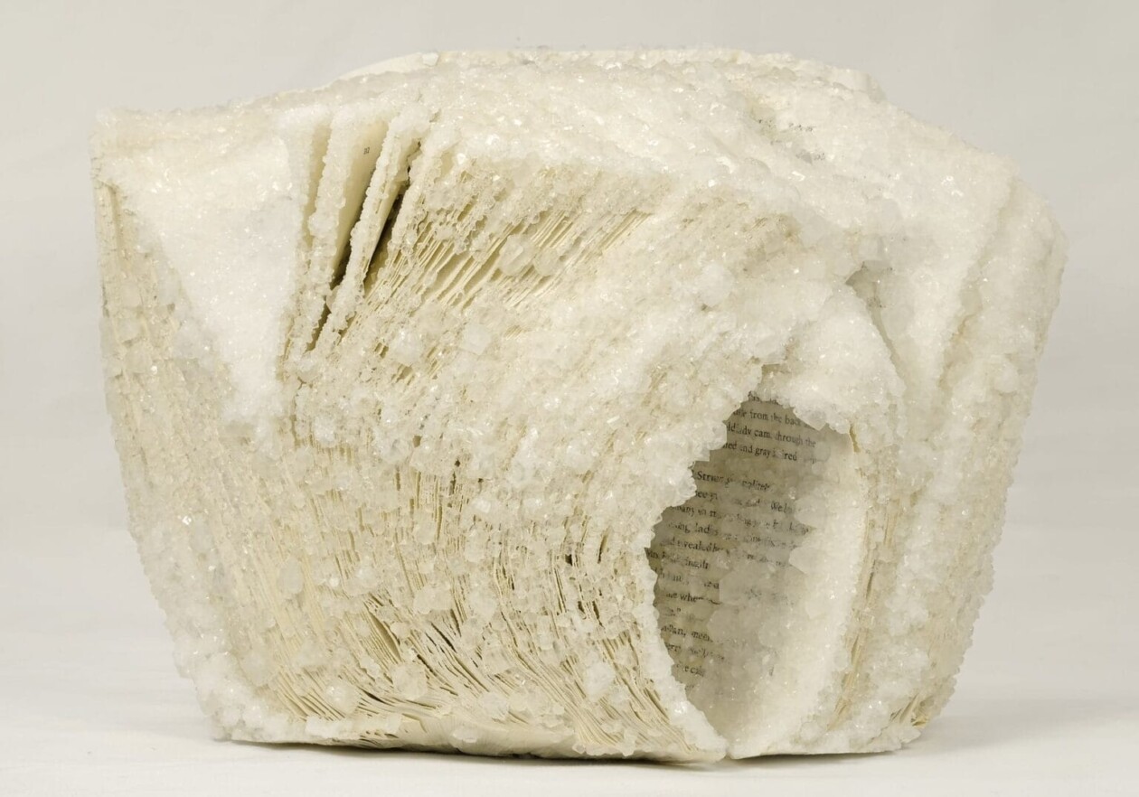 Crystallized Books, A Sculptures Series By Alexis Arnold (19)