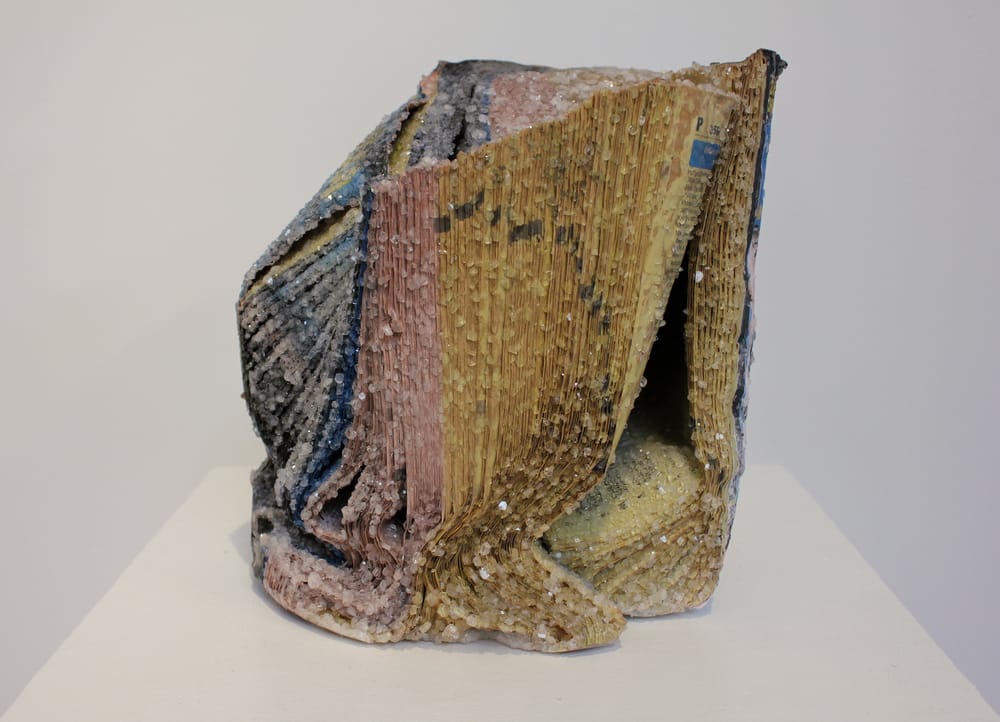Crystallized Books, A Sculptures Series By Alexis Arnold (2)