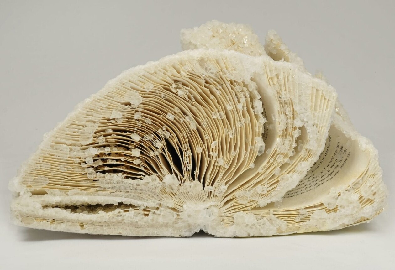 Crystallized Books, A Sculptures Series By Alexis Arnold (21)
