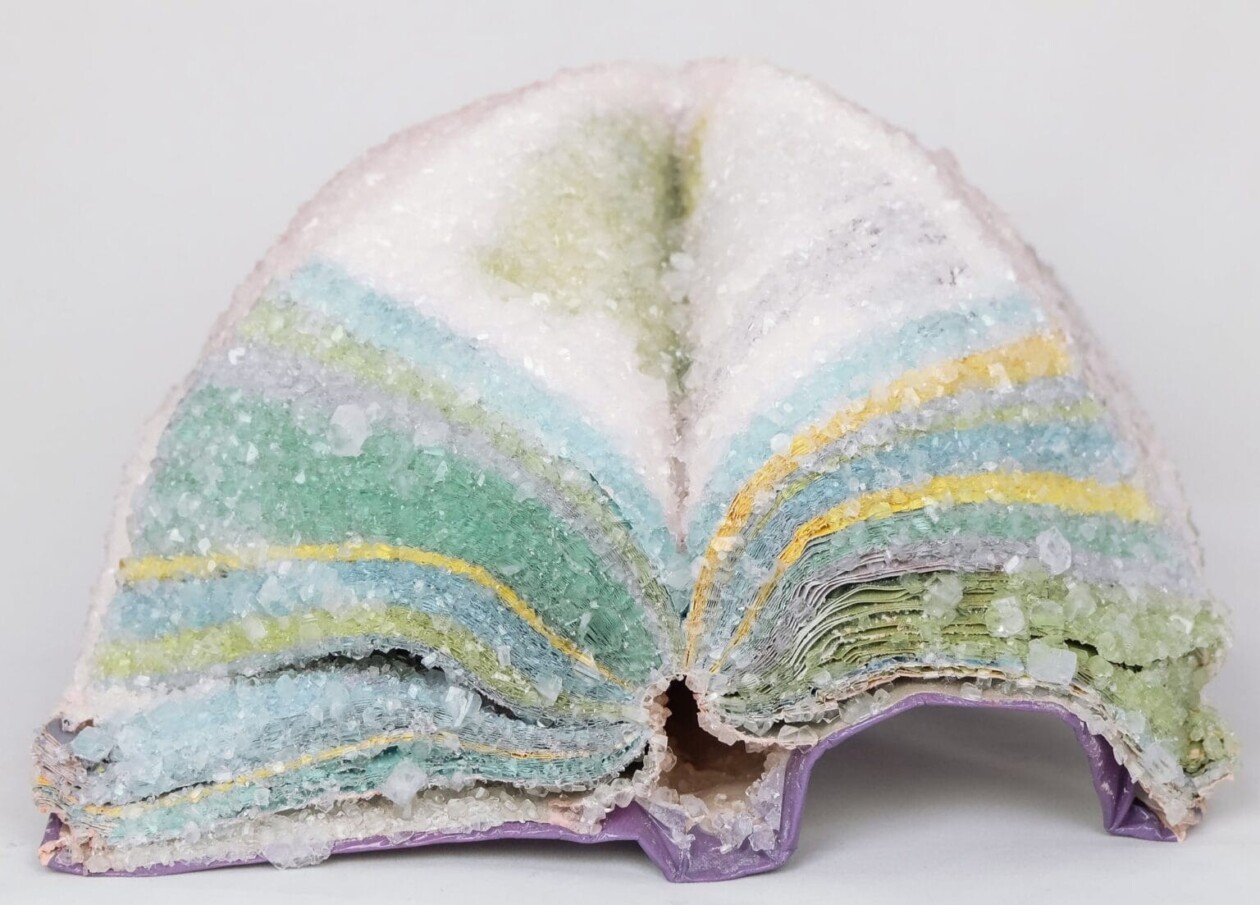 Crystallized Books, A Sculptures Series By Alexis Arnold (22)