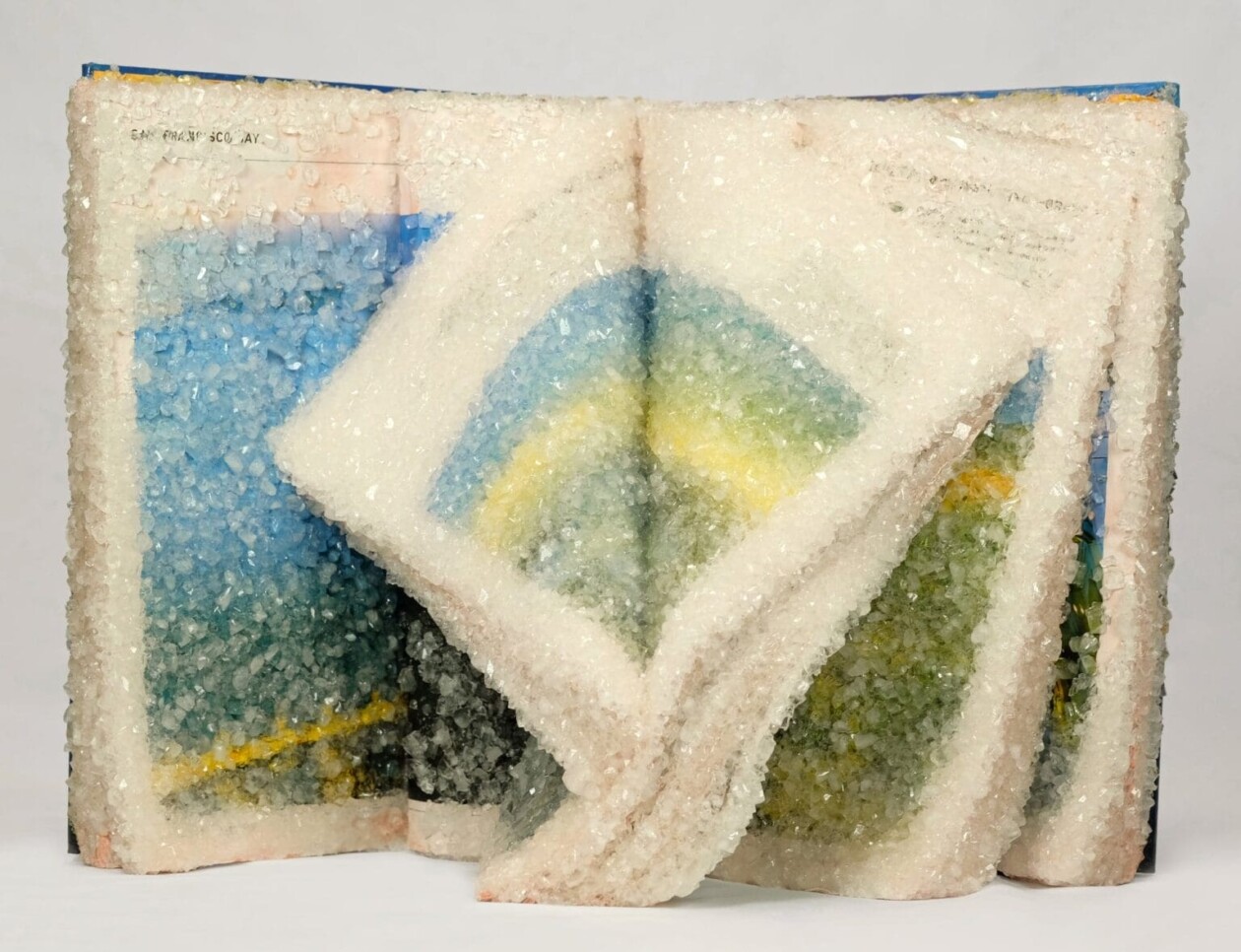 Crystallized Books, A Sculptures Series By Alexis Arnold (26)