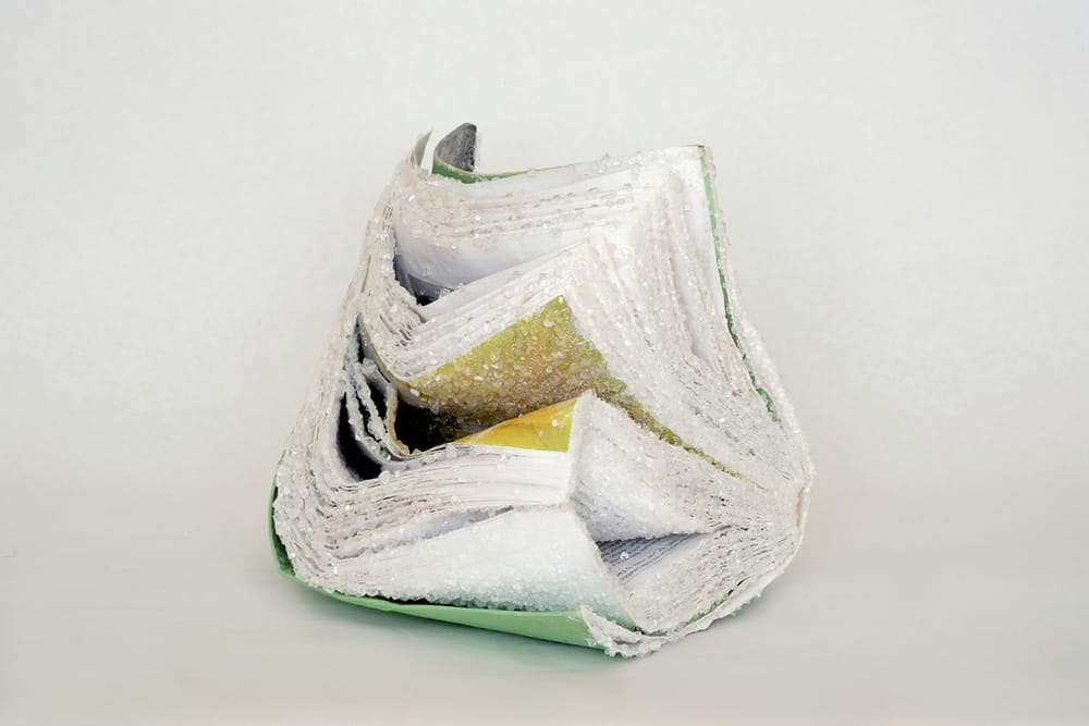 Crystallized Books, A Sculptures Series By Alexis Arnold (5)