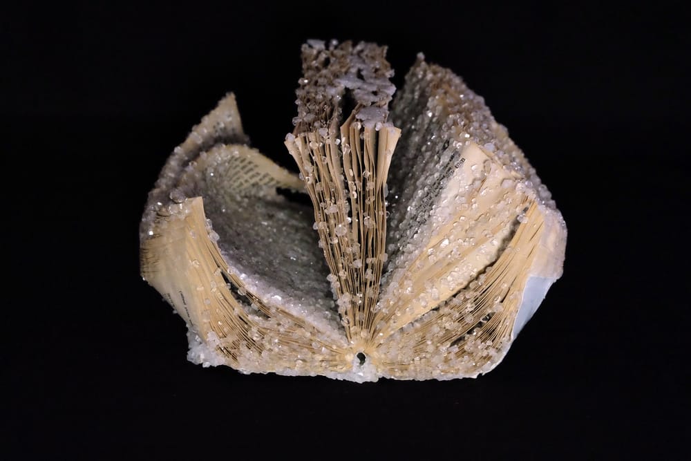 Crystallized Books, A Sculptures Series By Alexis Arnold (6)
