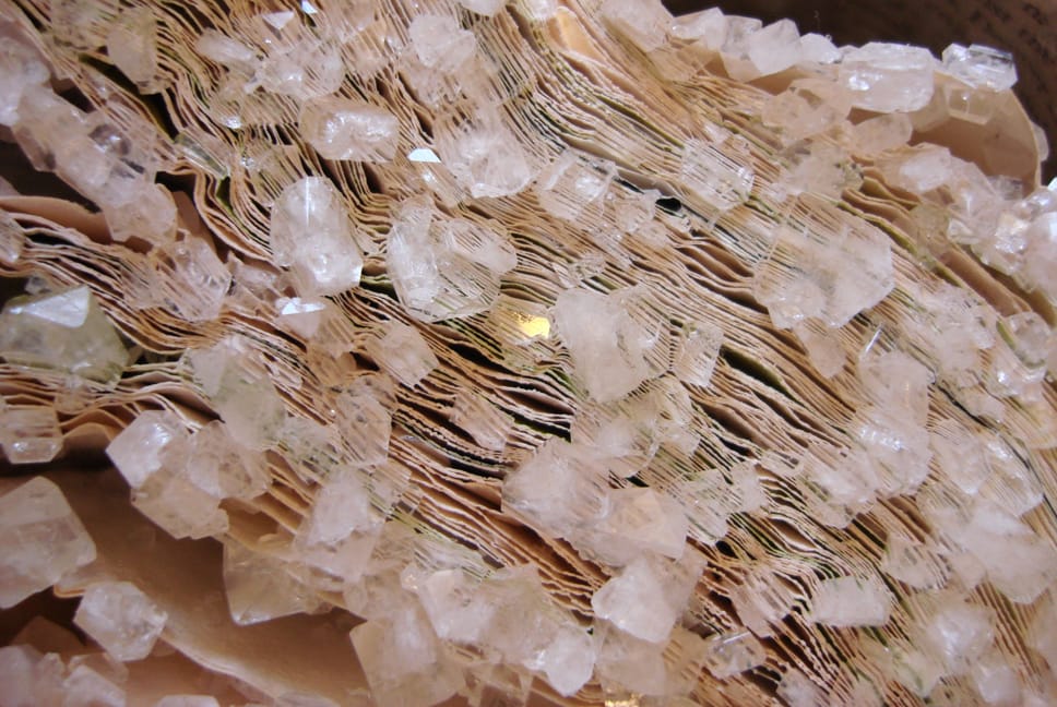 Crystallized Books, A Sculptures Series By Alexis Arnold (7)