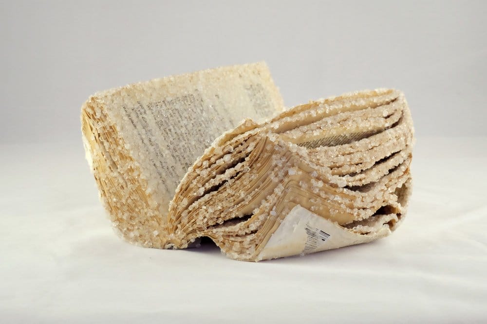 Crystallized Books, A Sculptures Series By Alexis Arnold (8)