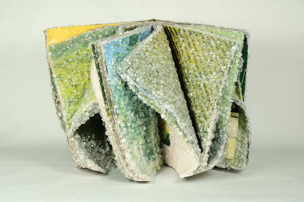 Crystallized Books, A Sculptures Series By Alexis Arnold (9)