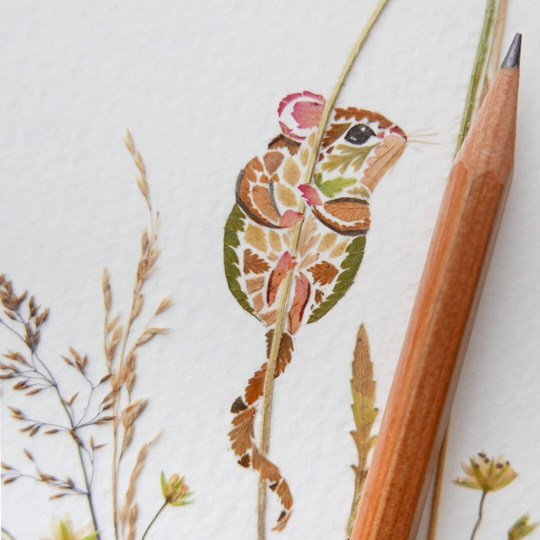 Illustrations Made Of Pressed Leaves And Flowers By Helen Ahpornsiri (12)