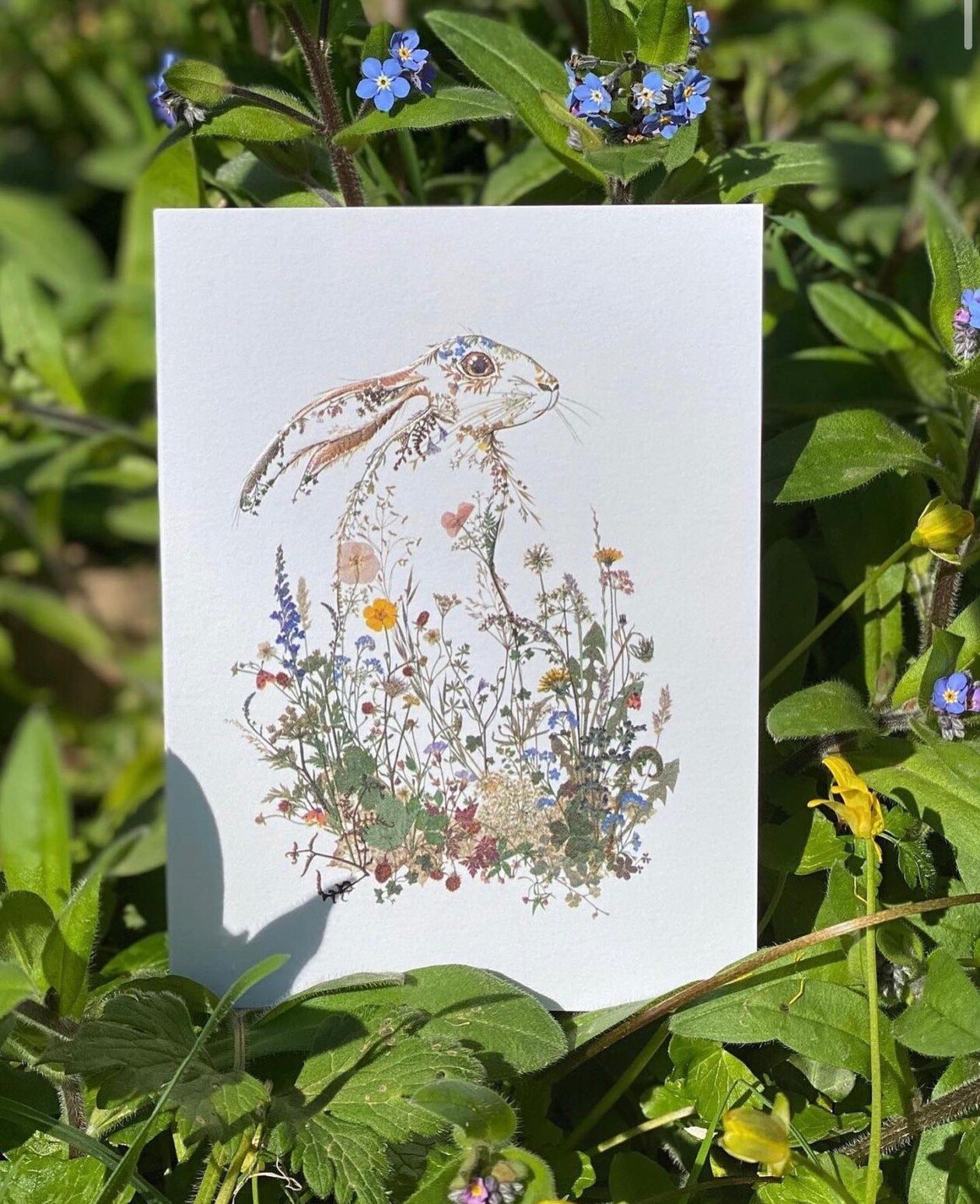 Illustrations Made Of Pressed Leaves And Flowers By Helen Ahpornsiri (15)