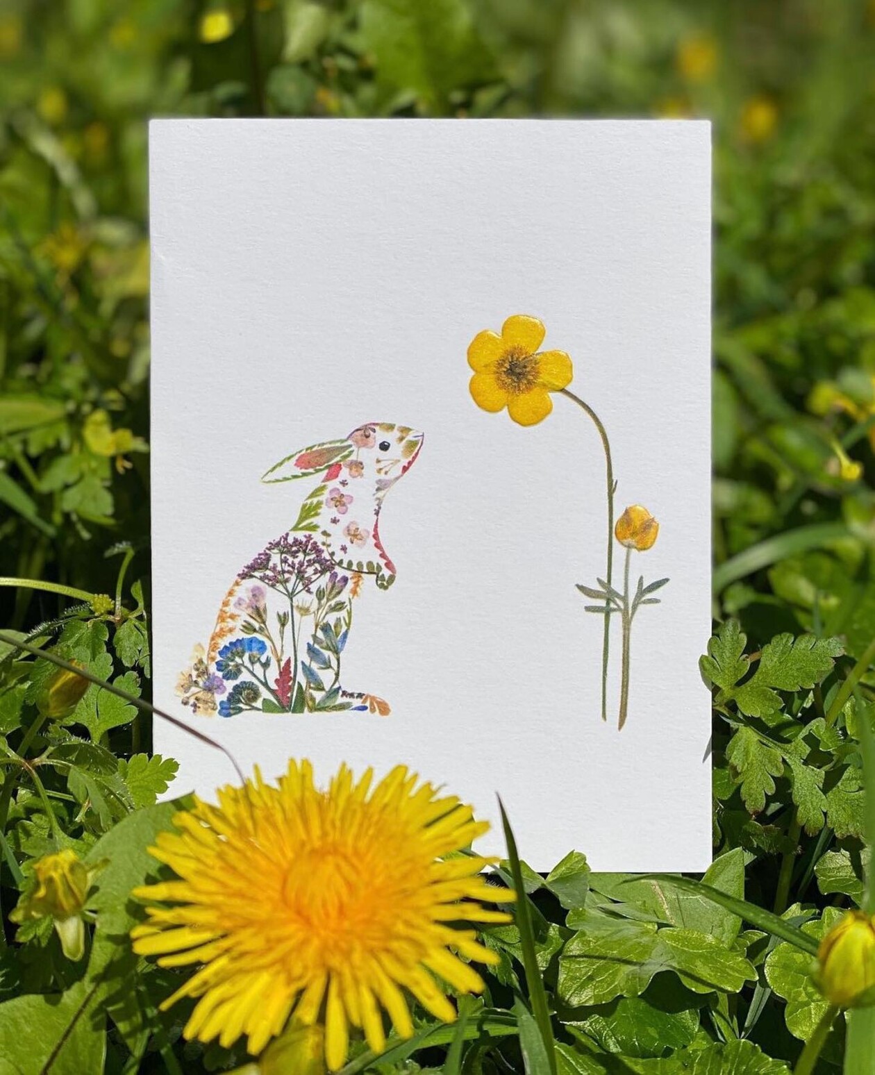Illustrations Made Of Pressed Leaves And Flowers By Helen Ahpornsiri (16)
