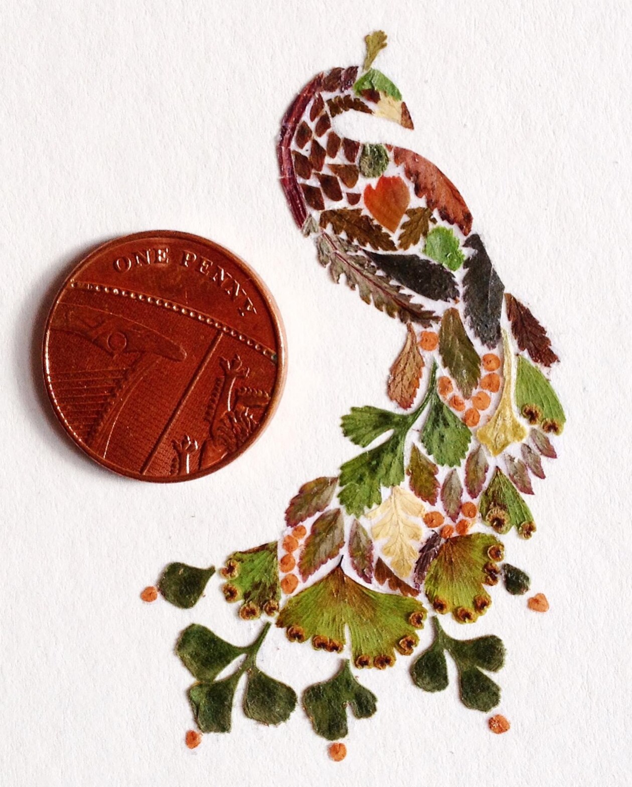 Illustrations Made Of Pressed Leaves And Flowers By Helen Ahpornsiri (19)