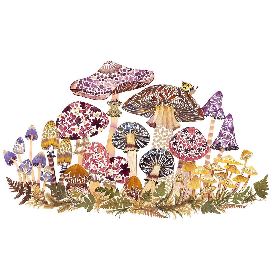 Illustrations Made Of Pressed Leaves And Flowers By Helen Ahpornsiri (2)