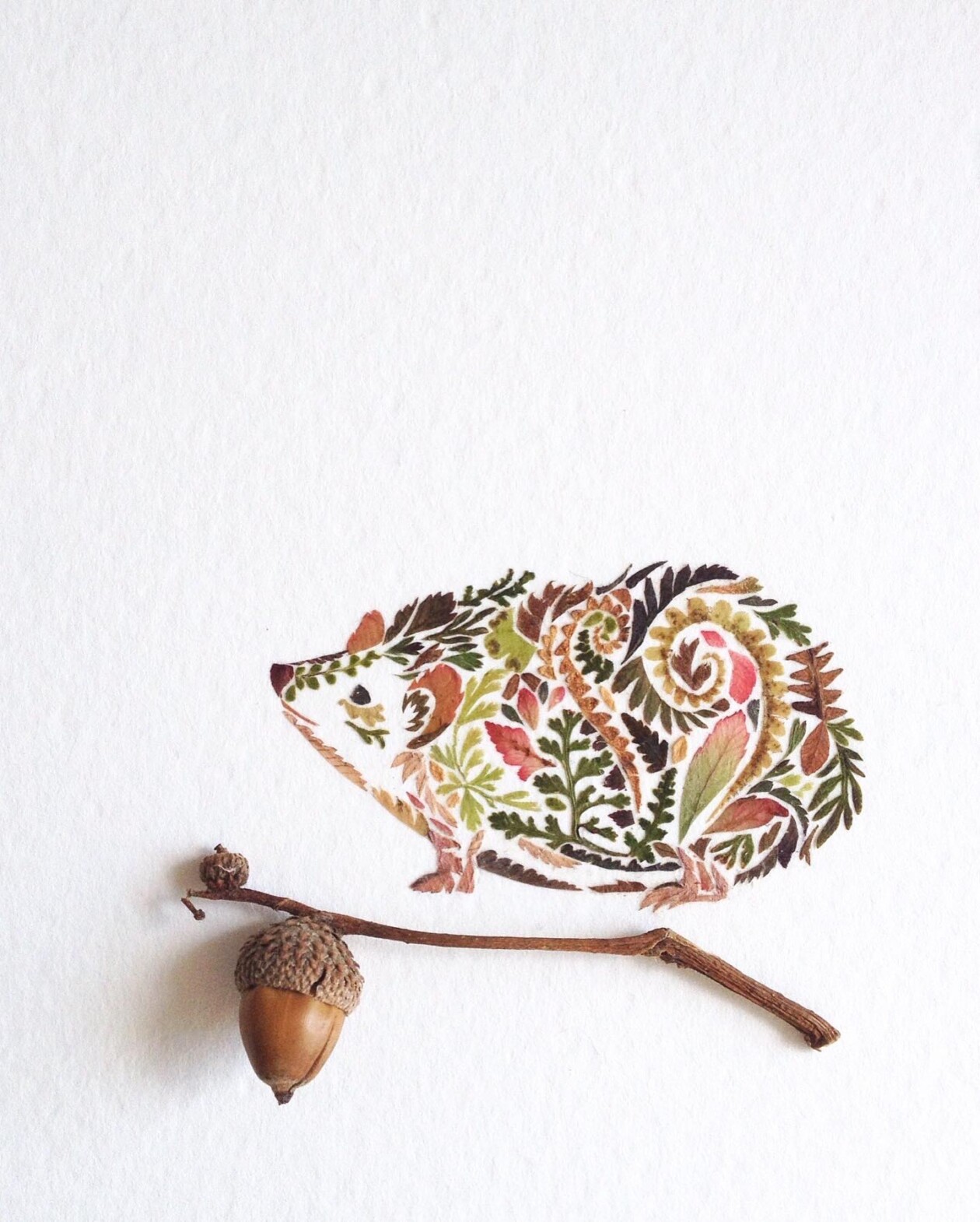 Illustrations Made Of Pressed Leaves And Flowers By Helen Ahpornsiri (24)