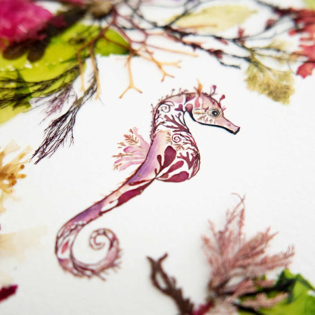 Illustrations Made Of Pressed Leaves And Flowers By Helen Ahpornsiri (3)