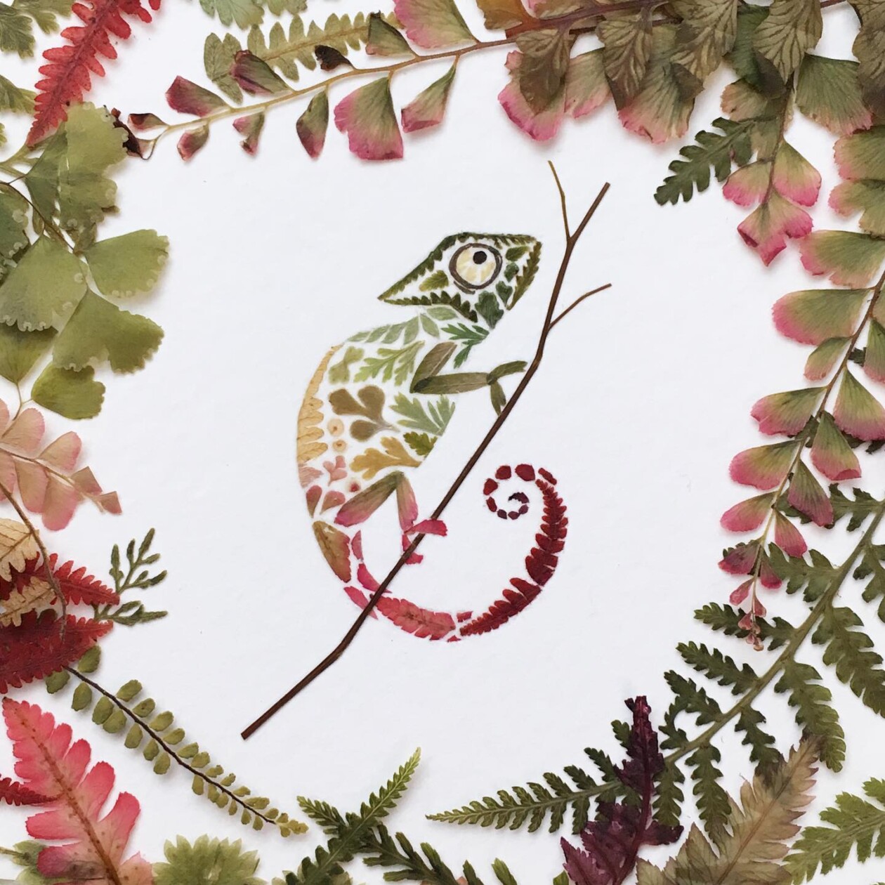 Illustrations Made Of Pressed Leaves And Flowers By Helen Ahpornsiri (5)