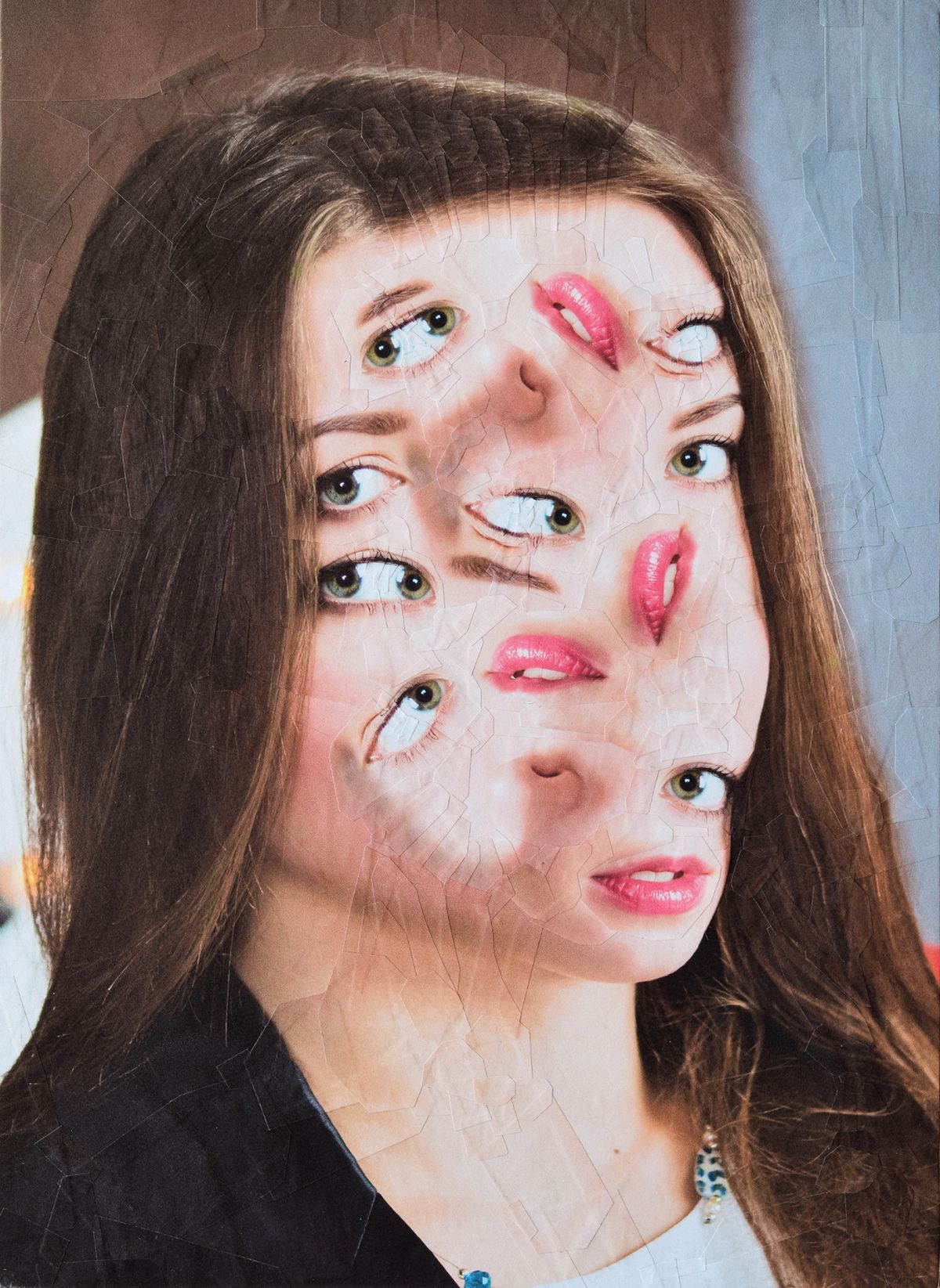 The Strangely Distorted Pet And People Collages Of Lola Dupre (22)
