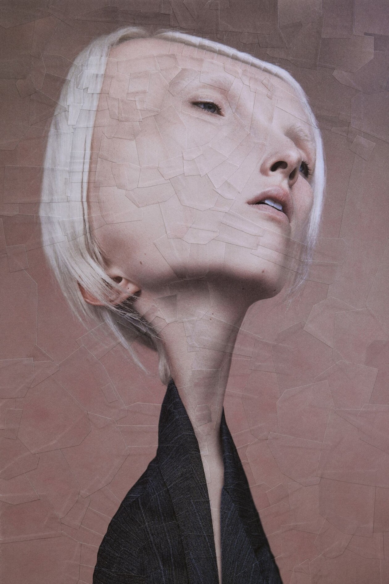 The Strangely Distorted Pet And People Collages Of Lola Dupre (4)
