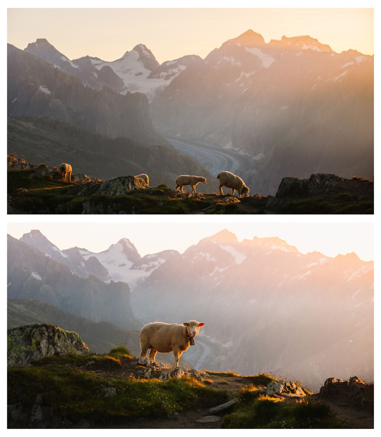 A Lovely Encounter, An Awe Inspiring Photography Series By Ulm, Germany Based Artist Florian Wenzel (7)